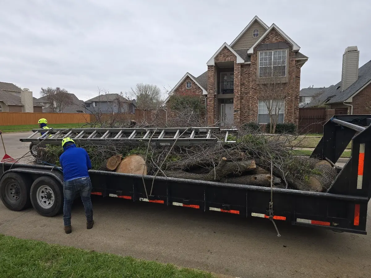Expert Lot Clearing with proper safety equipment in Hartwood